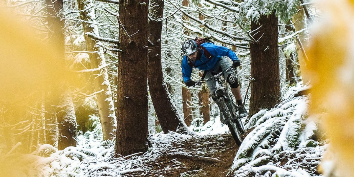 Partez en balade avec LE TREMPLIN, ZE TROTT & GUIDE VTT VERCORS